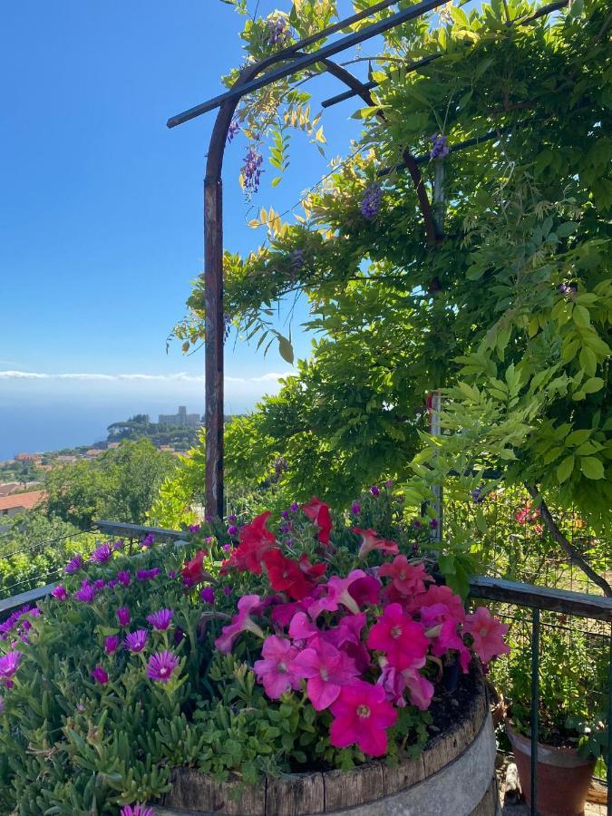 Ferienwohnung La Casa Dei Nonni Agerola Exterior foto